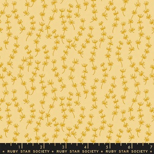 Koi-damm av Ruby Star Society -- Fat Quarter av ebb och flod i sand (RS1041 12)