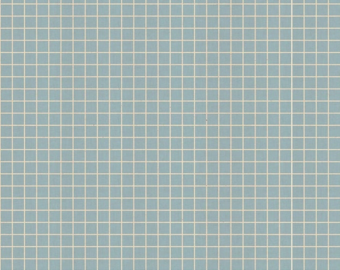 Grid -- Ruby Star Society Fabric, RS3005-24 Grid in Soft Blue by Kimberly Kight -- Fat Quarter