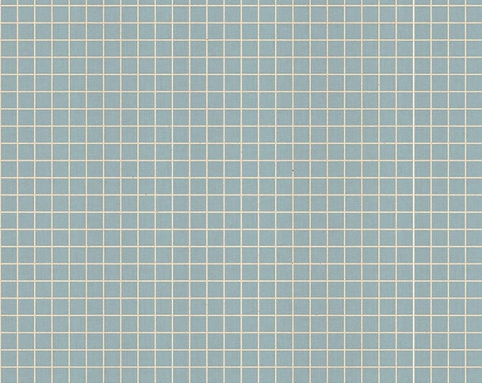 Grid -- Ruby Star Society Fabric, RS3005-24 Grid in Soft Blue by Kimberly Kight -- Fat Quarter