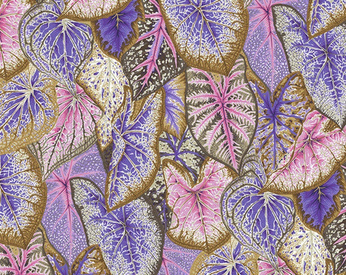 Kaffe Fassett Collective August 2021 -- Fat Quarter of Philip Jacobs Caladiums in Pastel