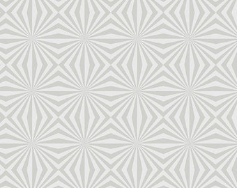 Stealth by Libs Elliot for Andover Fabrics -  Fat Quarter of Rays in Fog