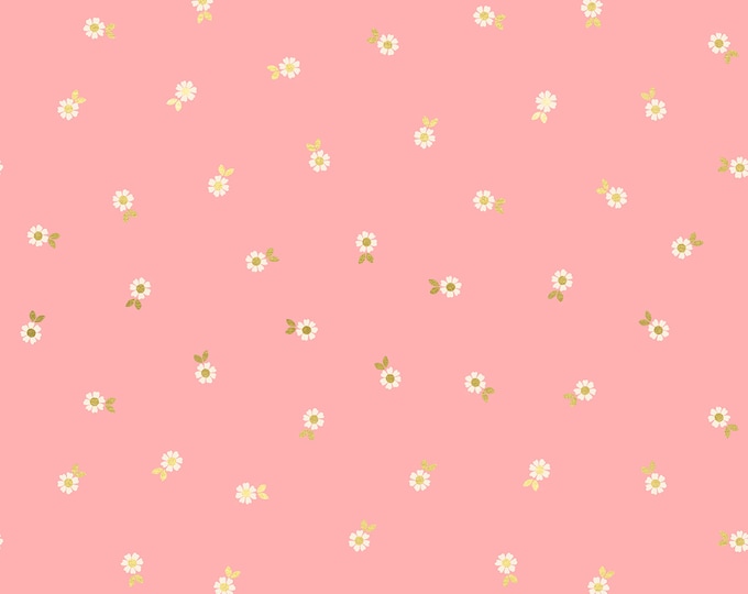 Curio by Melody Miller for Ruby Star Society -- RS006612M