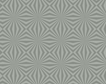 Stealth by Libs Elliot for Andover Fabrics -  Fat Quarter of Rays in Steel