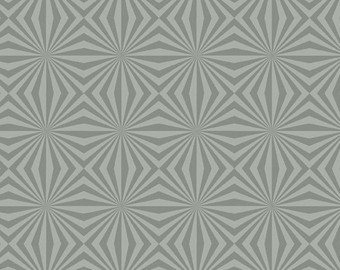 Stealth by Libs Elliot for Andover Fabrics -  Fat Quarter of Rays in Steel