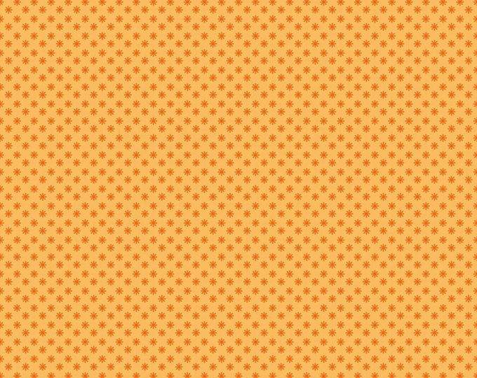 Meadow Star by Alexia Marcelle Abegg Puff in Cantelope for Ruby Star Society -- RS410413