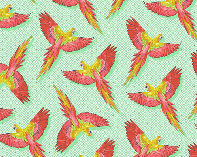 Fat Quarter Macaw Ya Later in Mango - Tula Pink's Daydreamer for Free Spirit Fabrics