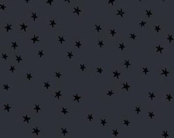 Starry -- (RS4109 91) by Alexia Marcelle Abegg for Ruby Star Society (2025 release)