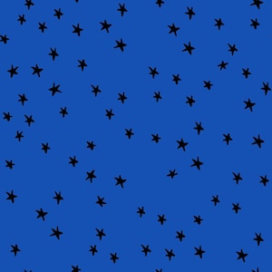 Starry -- (RS4109 44) by Alexia Marcelle Abegg for Ruby Star Society (2024 release)