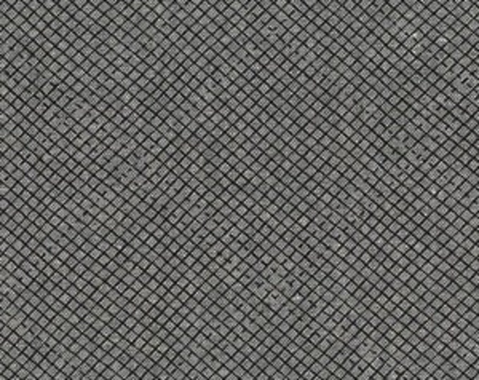 Euclid by Carolyn Friedlander - Check It in Graphite - Fat Quarter