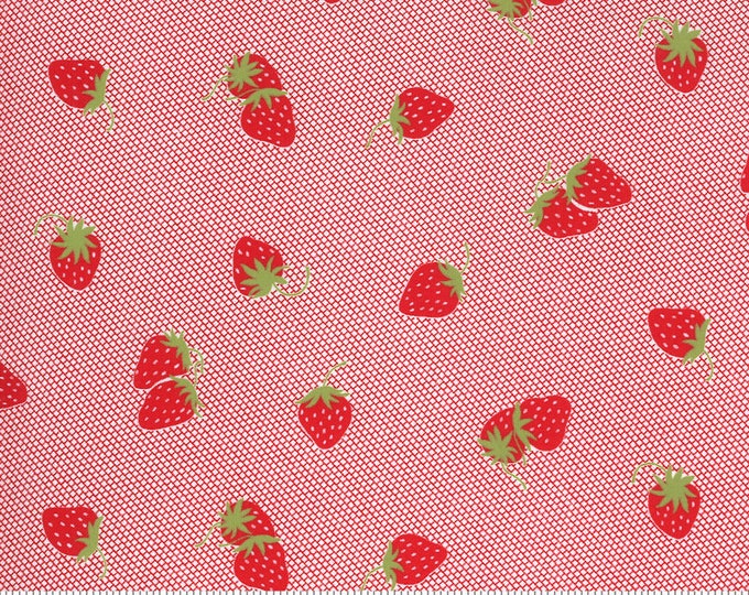 Sunday Stroll -- Strawberries in Red  (5223 12) by Bonnie and Camille for Moda -- Fat Quarter