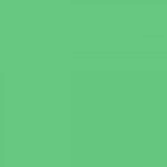 Tula Pink Solids Limeade - Tula Pink - PER QUARTER METRE Tula Pink Solids Limeade - Tula Pink - PER QUARTER METRE