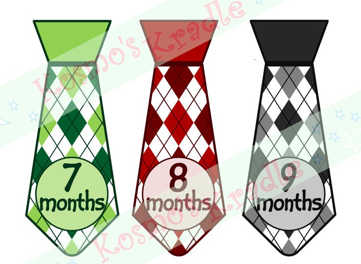 monthly baby stickers boy monthly stickers monthly photo etsy