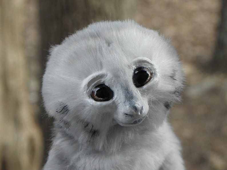 May include: A white, fluffy stuffed toy with large, black eyes and a small, pink nose. The toy has a soft, furry texture and a sweet expression.