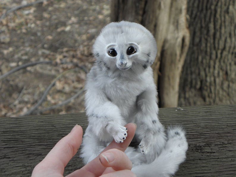 May include: A white plush toy monkey with black eyes and a long tail. The monkey is sitting on a wooden surface and has its hand outstretched.