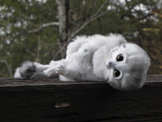 OOAK art doll, Tips the silver marmoset monkey