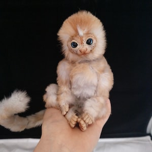 EXAMPLE LISTING~ Baby marmoset monkey poseable Art doll.