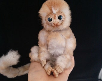 Finger Monkey For Sale $100 Near Me Finger Monkey As Pets Real