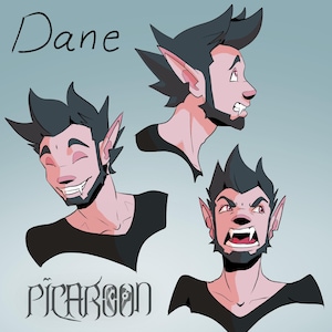 May include: Digital art illustration of a character named Dane, with three different facial expressions. The character has dark hair, pointed ears, and a beard. The word "Dane" is written at the top, and "PICAROON" at the bottom.