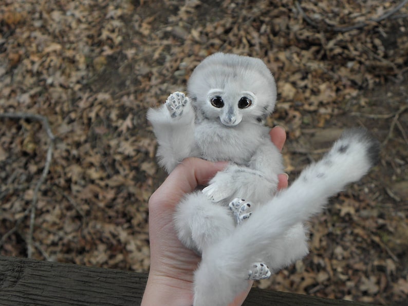 May include: A white plush toy resembling a lemur with large, black eyes and a long, bushy tail. The toy is being held by a hand.