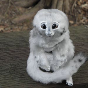 May include: A white plush toy with large black eyes and a long tail. The toy is sitting on a wooden surface.