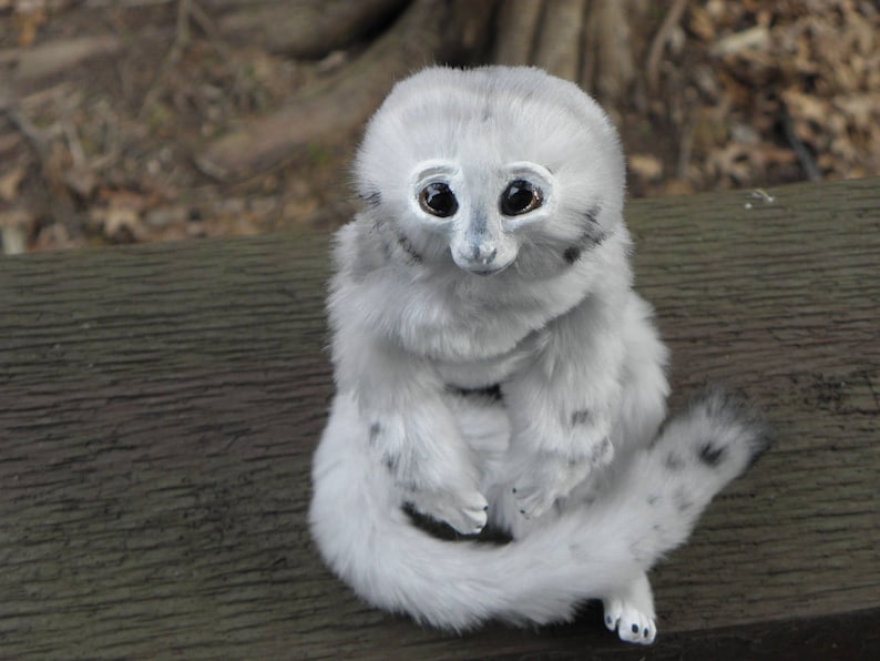 May include: A white plush toy with large black eyes and a long tail. The toy is sitting on a wooden surface.
