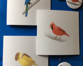 Canari Gloster Etsy