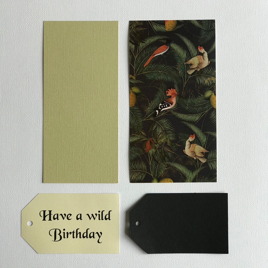 card making ki wild animal card kit card making for etsy