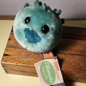 May include: A plush toy of a Chlamydia bacteria, a type of bacteria that can cause sexually transmitted infections. The toy is green and has a cute, cartoon-like face. The tag reads "Giant Microbes® Chlamydia (Chlamydia trachomatis) www.giantmicrobes.com"