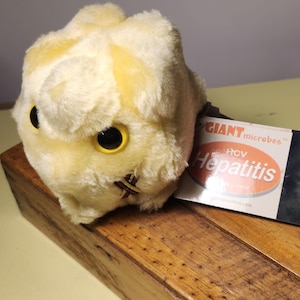 Pode incluir: Um brinquedo de pelúcia do vírus da hepatite C, um brinquedo de pelúcia amarelo e marrom com olhos grandes. O brinquedo está sentado em uma caixa de madeira com um rótulo que diz "GIANT microbes™ HCV Hepatite imagem de HCV".