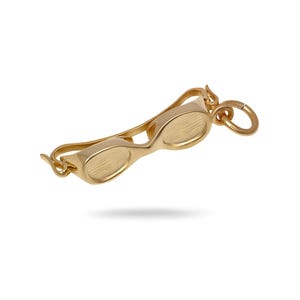 SCJ Swim Goggle Charm