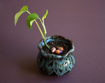 Orange & Purple Mini Eggs, Plant Trinkets, Polymer Clay Figurine, Cute Colorful Egg, Home Decor, Gift for Gardener, House Plant Lover