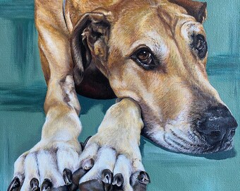 Handgemaltes Tierportrait: Individuelles Hunde & Katzen Portrait
