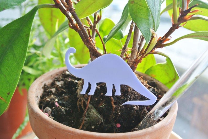 Pode incluir: Uma planta em vaso com um dinossauro de cor p&uacute;rpura claro recortado colocado no solo. A planta est&aacute; em um vaso de terracota marrom.
