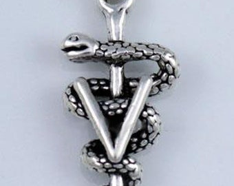 Add a veterinarian - Vet - caduceus charm - sterling silver - large - chunky
