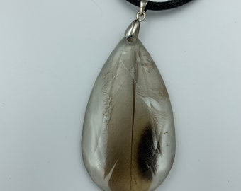 Real Bird Feather Preserved in Epoxy Resin Pendant Necklace