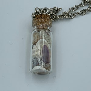 Real New Jersey Sea Shells In A Bottle Pendant Necklace