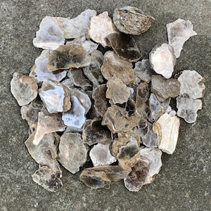 May include: A pile of mica flakes, also known as muscovite, in various shades of brown, grey, and white. The flakes are iridescent and have a pearly sheen.
