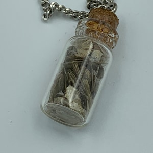 Raw Muscovite in a Bottle Necklace