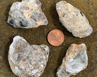 4 Muscovite Clusters