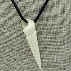 Spiral Sea Shell Pendant 20 Inch Necklace
