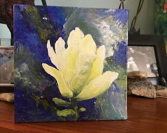 Magnolia series