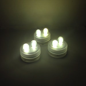 May include: Three white LED submersible lights with two lights on each. The lights are in a clear plastic casing.