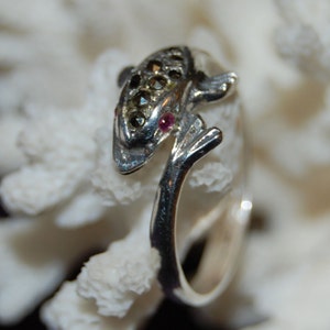 May include: A silver ring with a frog design. The frog is decorated with black stones and has red eyes.
