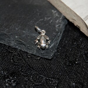 May include: A silver frog charm pendant. The frog is sitting on its hind legs with its front legs outstretched. The charm is on a black background.