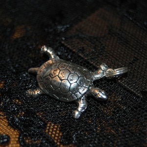 May include: A silver turtle charm with a detailed shell design. The charm is on a black lace background.