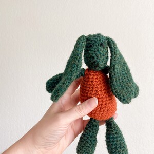 Carrot Bunny, Rabbit, Stuffed Animal, Gift for Kid