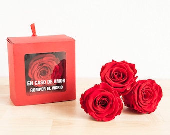 gifts for couples, original gifts, Valentine's Day, original gift, red rose, I love you very much, Sant Jordi, anniversary gift