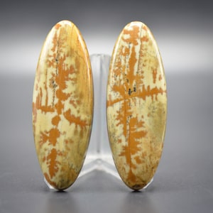 Matching pair Owyhee picture jasper cabochons