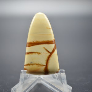 Owyhee jasper cabochon