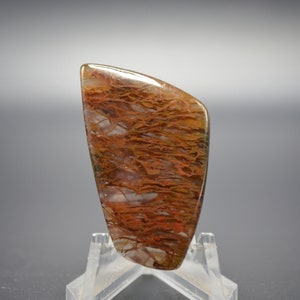 May include: A brown, white, and green agate cabochon with a unique dendritic pattern. The cabochon is cut in a teardrop shape and is approximately 2 inches long.